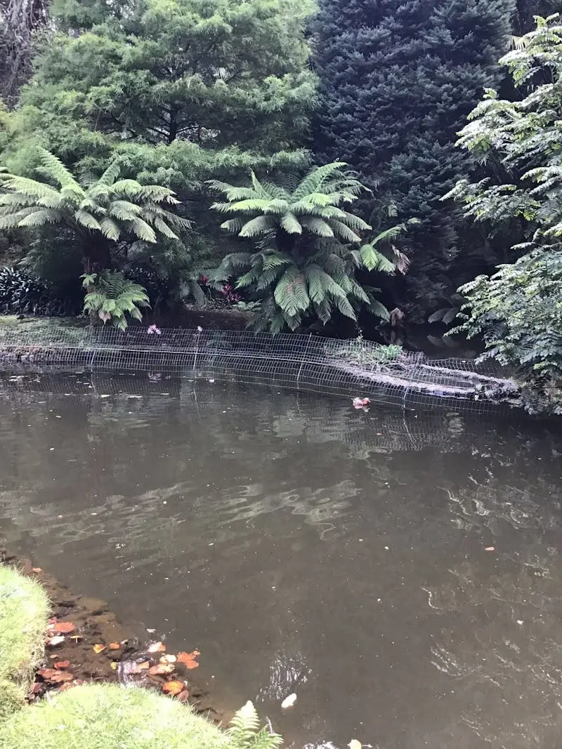 Trusted Mosquito Control (Space-Shield) in Govindpuri, Delhi